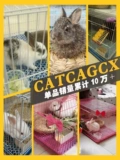 Кролик -клетка Grand Rabbit Cage Digth свинина Dolustram крыса Auto Clear Pett Pet At Bunny House House