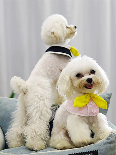 Накидка, комфортный шарф