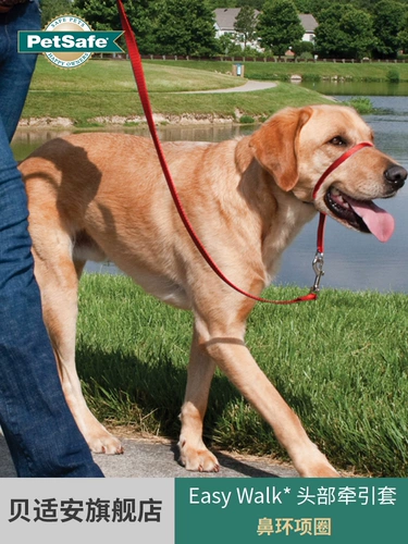 Petsafe Bei Rongan American Pet Head Traction Traction Kit Kit