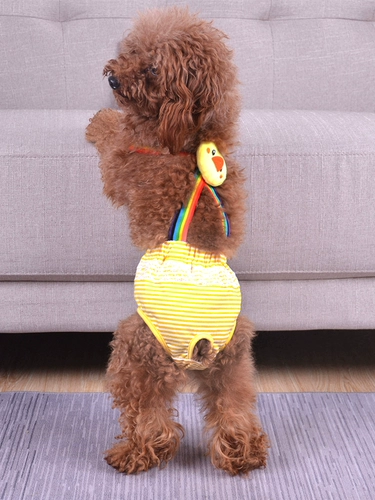 Собачья физиологические штаны Женщины Собаки Тедди маленькая собака сука тетя тетя, тетя полотенце, зона контрацепции, зона, животные менструальные штаны