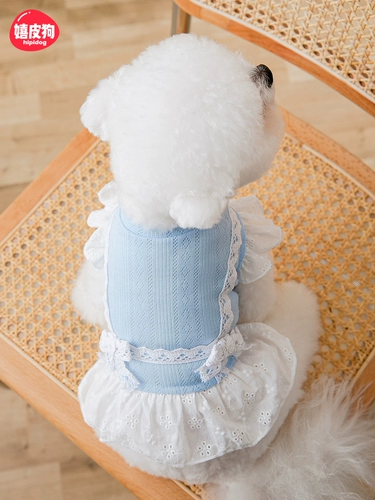 Весенняя юбка, летняя тонкая кукла, домашний питомец