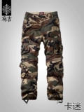 Камуфляжные мужские демисезонные дорожные штаны