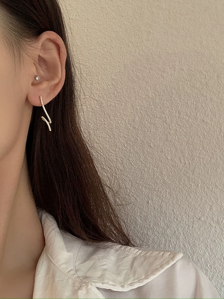 比兰迪 Sophisticated fashionable earrings with zircon, silver 925 sample, light luxury style