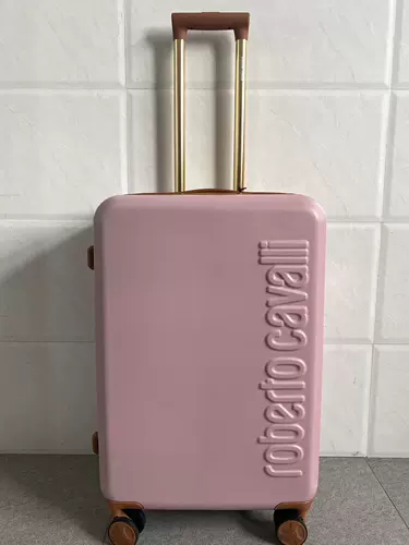 Матовый самолет, чемодан, США