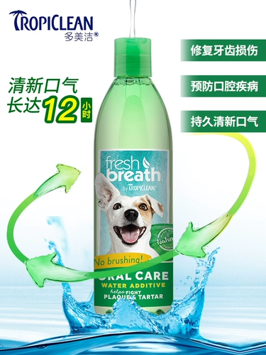 Мохи собака кошка