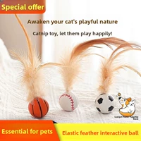 Игрушка, прыгучий мяч, кот, избавление от скуки, домашний питомец