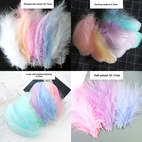 Парусный спорт