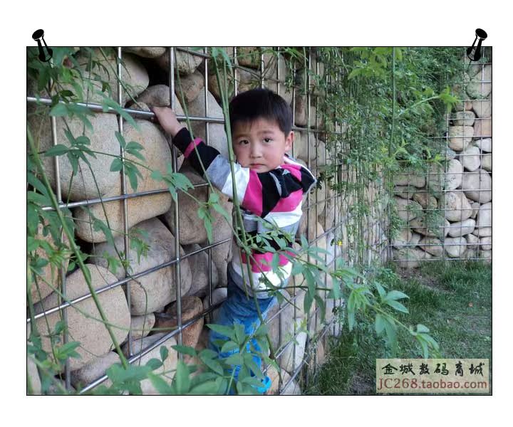 Sony W310 образец