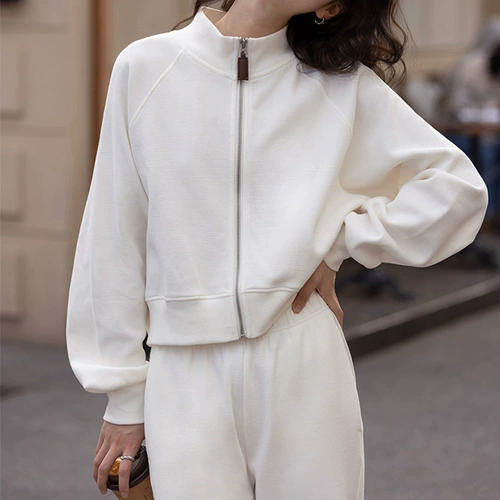 Комплект, спортивная куртка, леггинсы для отдыха, штаны, высокая талия