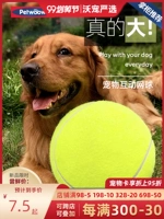 WQW! PET TENNIS DOG DOG TOER Устойчивый