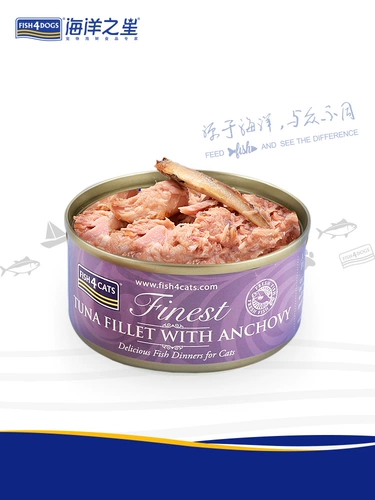 Ocean Star Cat Conned 70 г мокрый кошачий кошка закуски кошачь