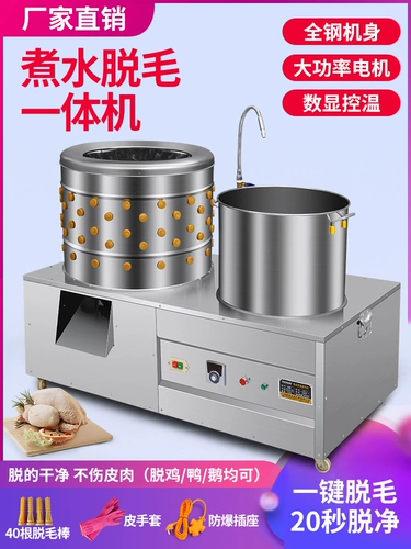 Dalfiners, куриная утка, утка, гусиная птица -птица Полное оборудование.