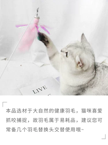 Игрушка, сменный колокольчик, домашний питомец, кот, стрекоза