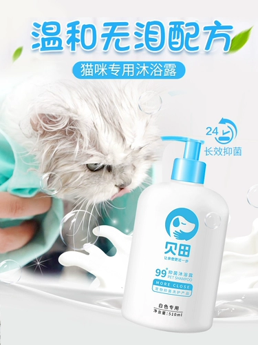 Кошачья ванна, кошки, кошки, посвященная ванной стерилизации душ жидкие котята Blue Cat British Short Wave Pets