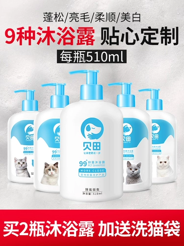 Кошачья ванна, кошки, кошки, посвященная ванной стерилизации душ жидкие котята Blue Cat British Short Wave Pets