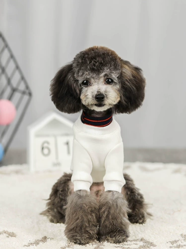 Веселая собачья одежда, осенняя и зимняя теплое фальшивое бархатное шокета, плюшевая вип-бишон, сражаясь с одеждой для щенка