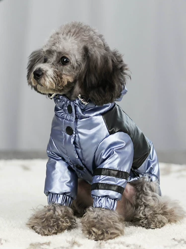 Веселая собачья одежда осень и зимняя одежда теплое и толстое хлопковое пиджак