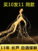 林岛 Шан Гинзенс Бао Сянь Шан Гинзенцент (Fresh Ginseng) Через 13 лет он продал только 11 юаней/ветвь 8 граммов, чтобы снять 5 бесплатных судоходства