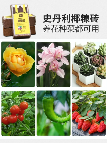 Стэнли Кокосовое кирпичное питание