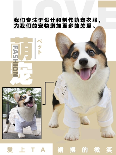 [Нормальная доставка] собачья одежда