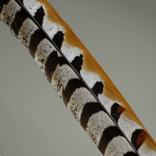 Сунь Укун Цяо Хуа Дань Пекинская опера Спектакль в Пекинской опере Натуральное фазанье перо, желудки, куриное перо, длинные волосы, фазанье перо