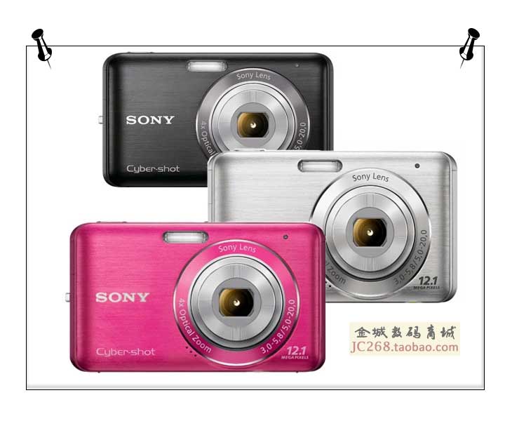 Sony W310