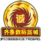 Qilu Digital Mall Dongyue Store