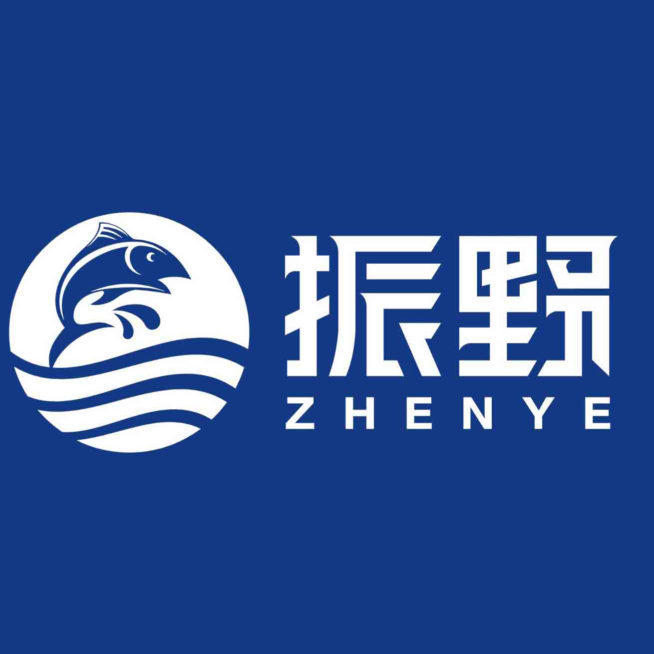 振野旗舰店