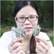 小瑶精选 农产品店