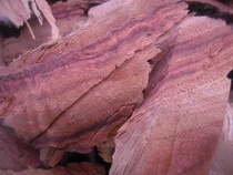 Real-Fang floor special wood camphor wood block mothproof insect repellent natural fragrant camphor wood sheet anti-red Zhangmu Z strips non-powder