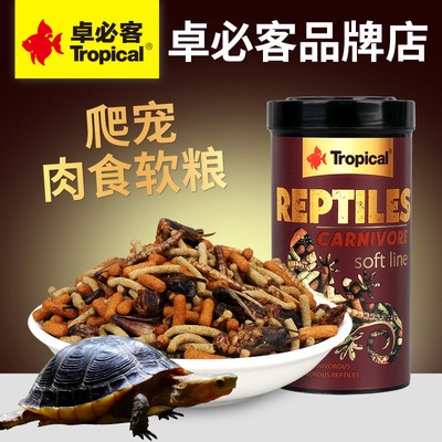 Europe Chapters Chapo Bike Half Water Turtle Tortoise Chameleon Chameleon chameleon Dragon Vigil feed Y reptile Meat Soft Grain