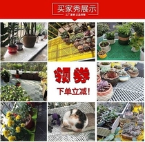 Multi-meat pad high-end fence home protective balcony flower stand anti-theft net plastic grille fall luxury h window anti-splicing