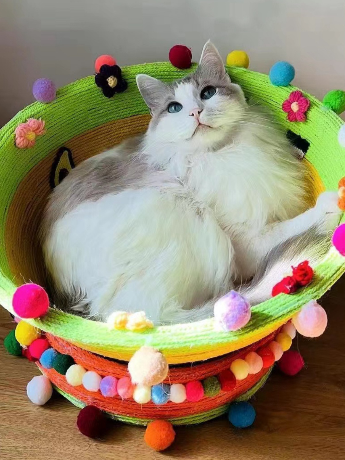 猫爬架自制diy材料亚克力PE罩超透明太空舱厂家直销半球猫窝配件
