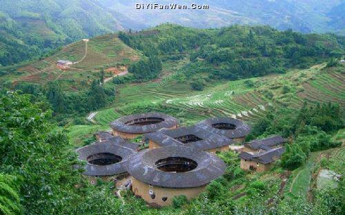 土楼魏有记茶业