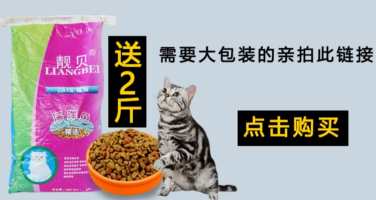 Thức ăn đặc biệt cho mèo hến 500g cá biển số lượng lớn vào thức ăn chính của mèo chọn miệng mèo con mèo dinh dưỡng thức ăn cho mèo - Gói Singular