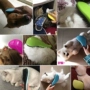 Pet chải lông chó chải kim chải lông chó chải mèo Teddy chó lông vàng tẩy lông lược làm đẹp cung cấp bàn chải lông mèo