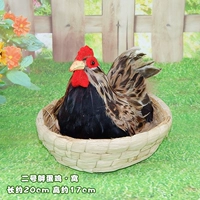 Яйцо инкубационное куриное №2 в рамке