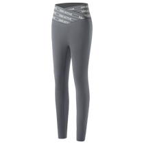 Shark Pants Womens Outer Wear 2024 New Summer Thin Belly Controlling High Waist Barbie Fitness Yoga Pants Large Size Leggings