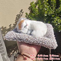 Кот дремлет на серой тканевой циновке - желтый лоб, никаких подарков