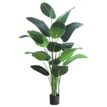 Bird of paradise green plant simulation plant light luxury indoor large bionic potted ornaments living room decoration floor-standing fake flower tree