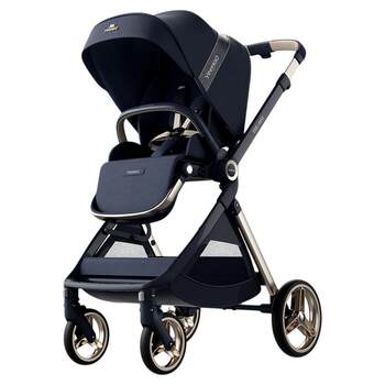 Yiletu emumax newborn two-way stroller