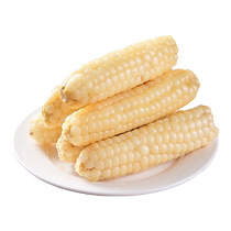 Yunnan Xishuangbanna thumb corn fresh fragrant waxy finger corn ready-to-eat vacuum packaged baby food supplement