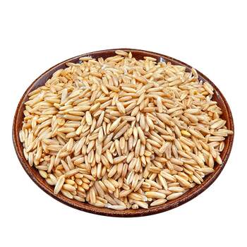 New oat rice, self-grown by farmers, this year’s oat rice, oat kernel, whole germ, whole grains, nutritious and healthy breakfast