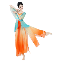 Dancers classical dance costume dancers elegant Chinese dance gauze practice clothes Dunhuang Feitian professional performance clothes