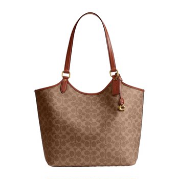 Coach classic signature canvas day tote bag
