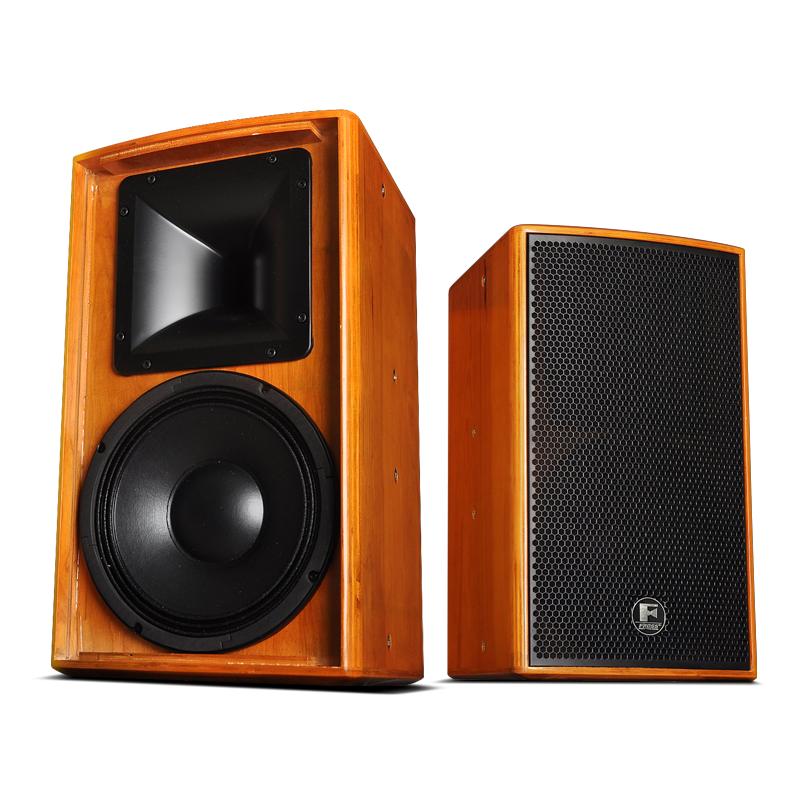 Feisi vr10 speaker karaoke solid wood