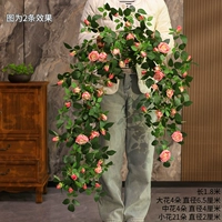 Розовый розовый розовый розовый розовый