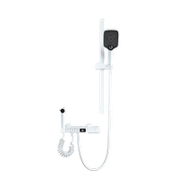 Japanese all-copper shower head set household supercharged shower head bathroom shower rain constant temperature bath heater bathroom 2005