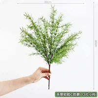 Мягкий пластик папоротника папоротника