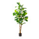 Great value! High-end simulated green plant Qin Ye Rong is recommended